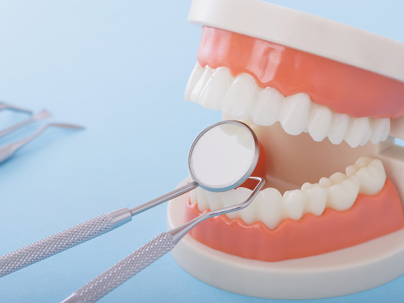 歯の健康相談・定期健診